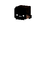 Skin worn by Skelyrunner