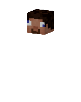 Skin worn by CitingWord41284