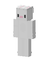 Skin worn by oPoptqrts