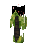 Skelyrunner's current skin