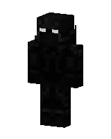 Skin worn by DidntPot