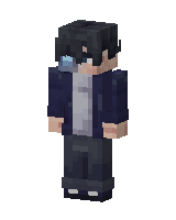 Skin worn by Wockindown